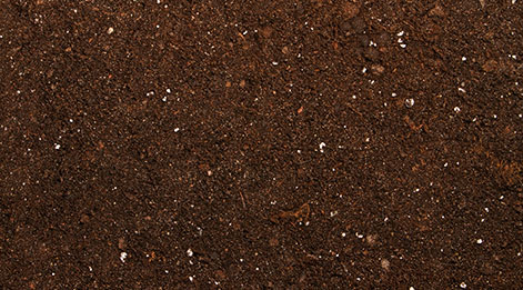 Image of Peat
